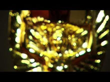 Laden und Abspielen von Videos im Galerie-Viewer, 547490 – Das Treffen der Weltmeister